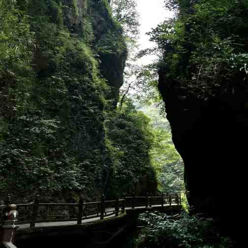 Emei Mountain View
