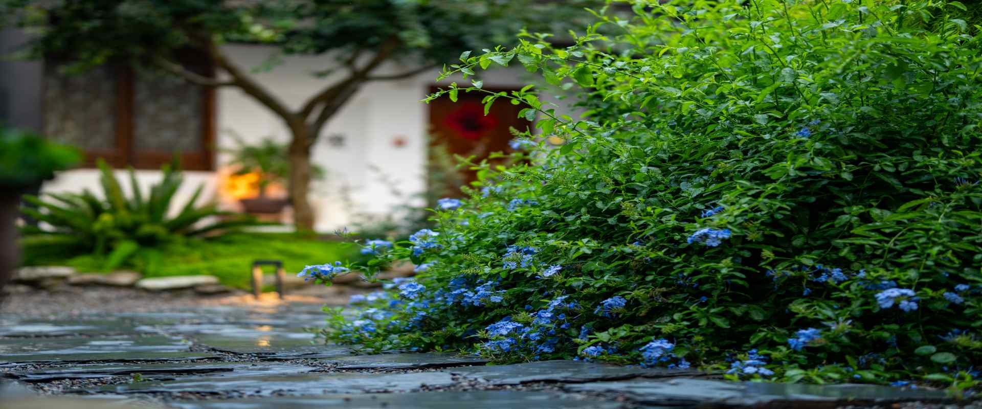 Contact The Harmony Courtyard & Mount Emei Serene Residence Hot Spring Boutique Hotel Mountain