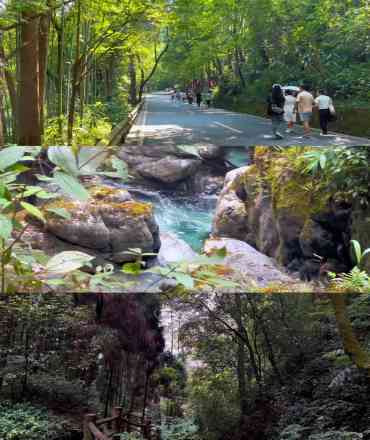 Guided Hiking Tours
