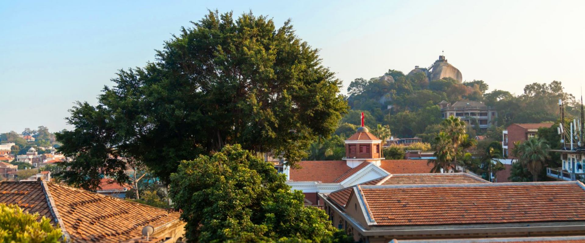 Harmony Courtyard Amenities